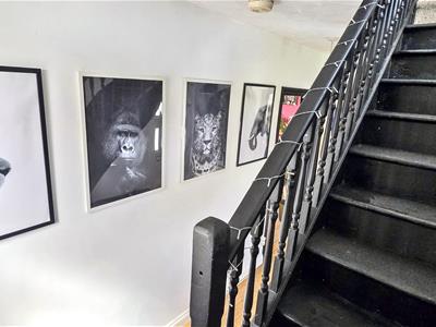 Picture 11